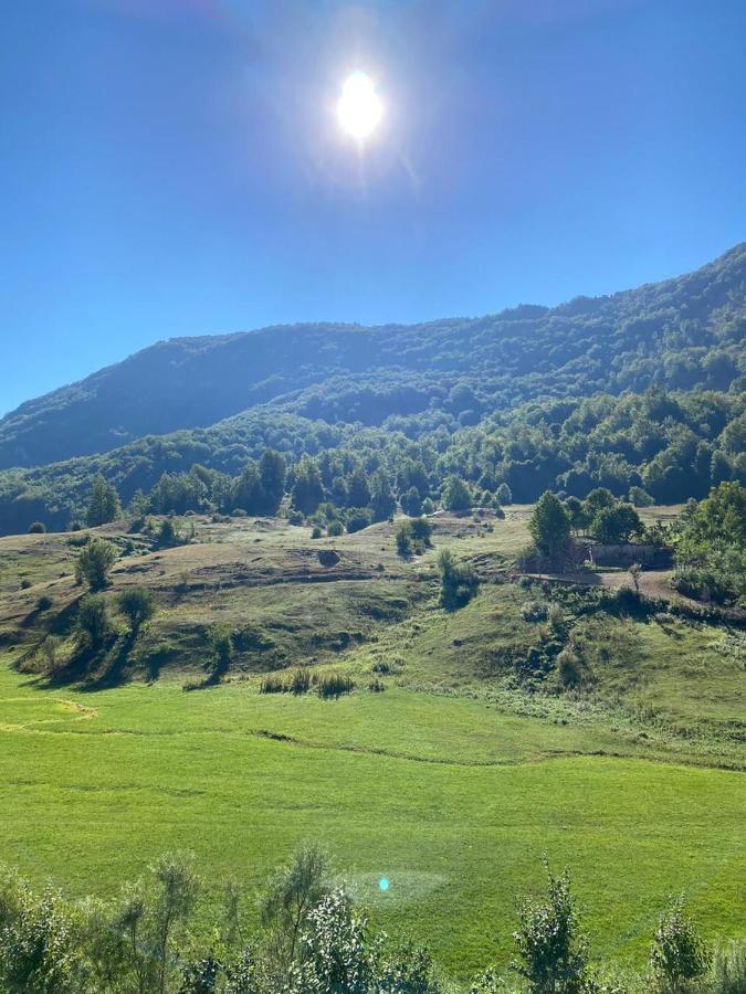 Restorant Hasa 5* Librazhet
